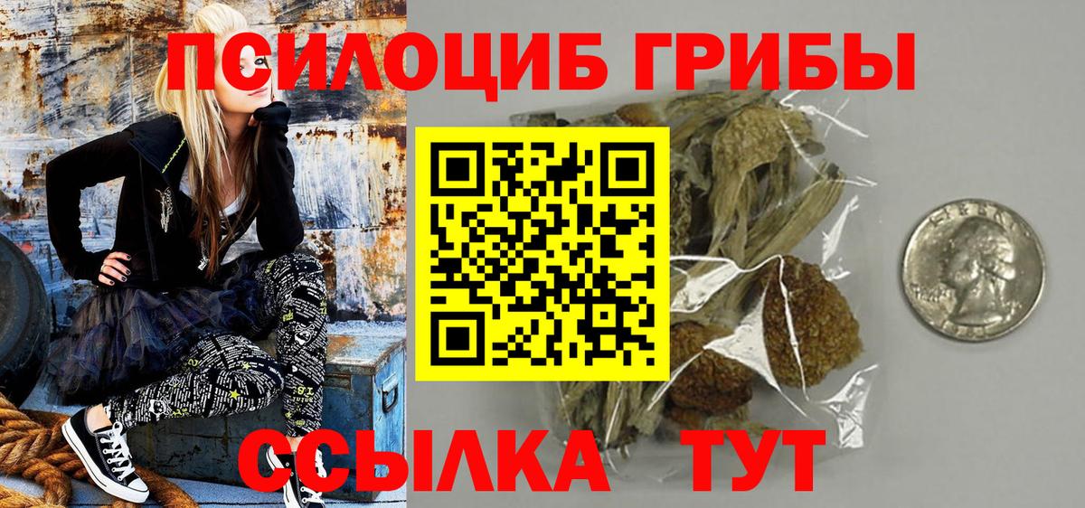Псилоцибиновые грибы мицелий Борисоглебск