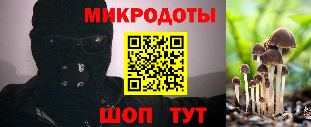 Галлюциногенные грибы Psilocybine cubensis  Галлюциногенные грибы ЛСД  Вход с VPN  Борисоглебск 